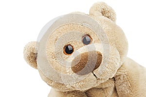 Sweet teddybear photo