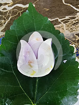 Sweet Thai dessert, flower-shaped iced jelly Deputy with green leaves Popularly eaten as a snack