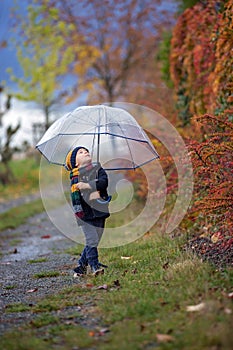 Sweet toddler blond child, cute boy, playing in autumn park with colofrul trees and bushes