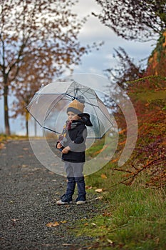 Sweet toddler blond child, cute boy, playing in autumn park with colofrul trees and bushes