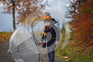 Sweet toddler blond child, cute boy, playing in autumn park with colofrul trees and bushes