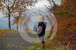 Sweet toddler blond child, cute boy, playing in autumn park with colofrul trees and bushes