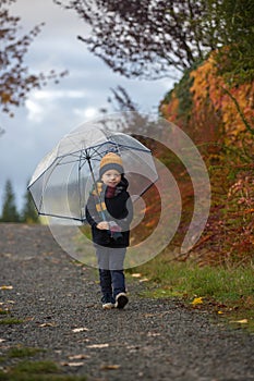 Sweet toddler blond child, cute boy, playing in autumn park with colofrul trees and bushes