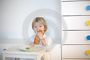 Sweet toddler child, boy, eating hot dog at home