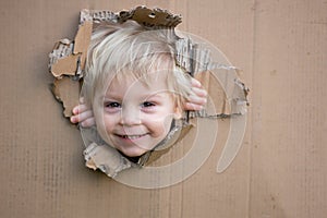 Sweet toddler child, cute blond boy, hiding in cardboard box, looking out