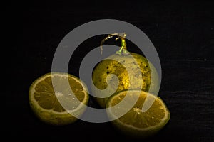 Sweet Tropical Lemons photo