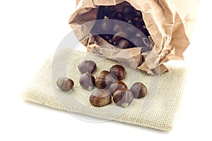 Sweet, useful, edible chestnuts Castanea sativa