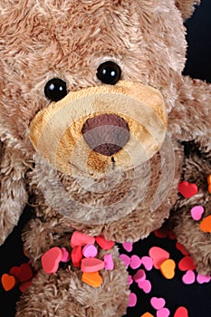 Sweet valentine bear