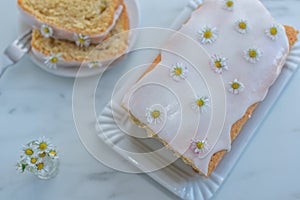 Sweet vanilla sponge cake