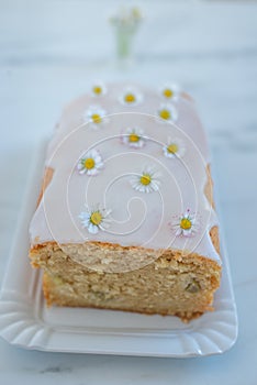 Sweet vanilla sponge cake