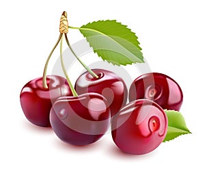 Sweet Vector 3D Realistic Cherry, on white background.