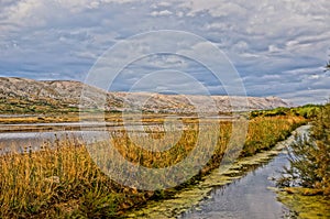 Sweet water stream next to a saline. HDR picture