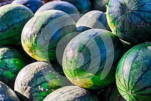 Sweet watermelon, a large number of large green organic crops on the farmers market in Thailand, Asia. Fruit for weight loss and