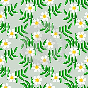 Sweet white flower seamless pattern vector