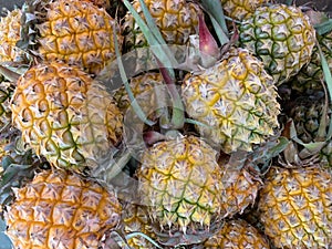 Sweet yallow pineapple in morning market