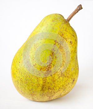 A sweet yellow-green pear with a stalk ripened juicy. photo