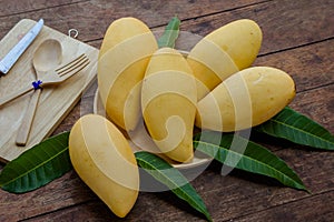 Sweet yellow mango fruit on wood table , ready to eat for healt