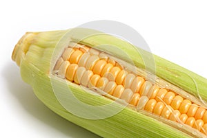 Sweetcorn photo