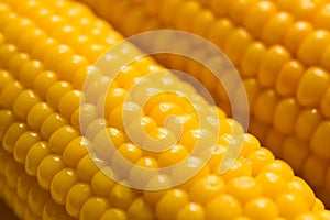 Sweetcorn