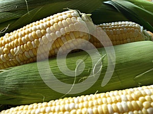 Sweetcorn