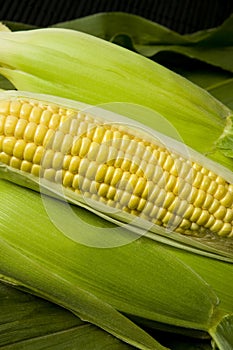 Sweetcorn photo