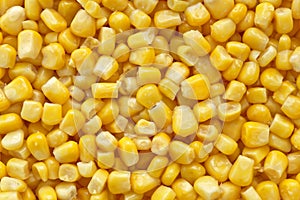 Sweetcorn closeup background