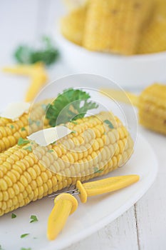 Sweetcorn on the cob