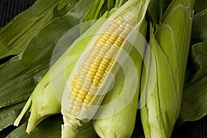 Sweetcorn cobs photo