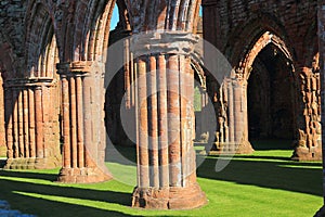 Sweetheart Abbey with Fluted Columns of Nave, New Abbey, Dumfries and Galloway, Scotland, Great Britain