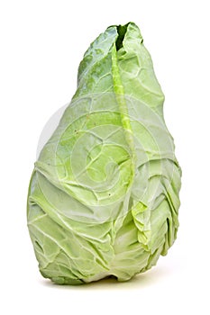 Sweetheart Cabbage