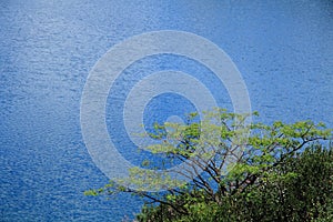 The sweetheart tree side Lugu lake in Lige viewing platform, Lugu Lake Lige IslandChina