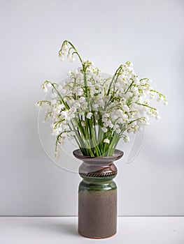 Sweetly scented, pendent, bell-shaped white flowers of Lily of the valley Convallaria majalis in glazed clay vase on white table