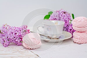 Sweets marshmallow zephyr and lilac flowers