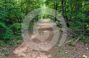 Sweetwater Creek Park Path