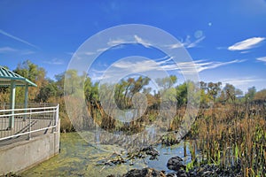 Sweetwater Wetlands nature preserve park in Tucson Arizona with nature views