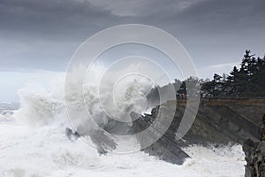 Swells of a Decade Crashing Against the Cliffs of Shore Acres State Park, Coos Bay Oregon