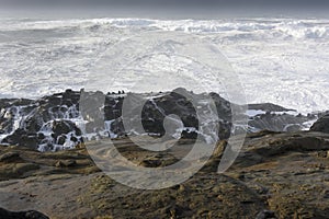 Swells of a Decade Crashing Against the Cliffs of Shore Acres State Park, Coos Bay Oregon