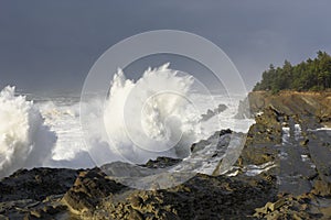 Swells of a Decade Crashing Against the Cliffs of Shore Acres State Park, Coos Bay Oregon