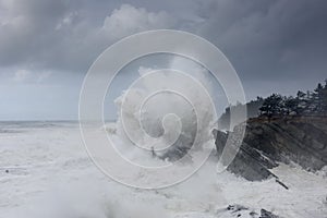 Swells of a Decade Crashing Against the Cliffs of Shore Acres State Park, Coos Bay Oregon