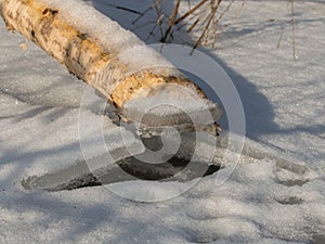 Swider River in the winter