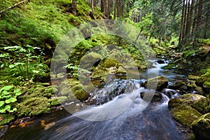 Swift mountain creek in a green valley