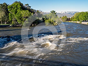 Swift rapids on the Truckee River as it approaches flood stage.