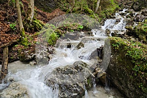 Swift water stream with waterfalls in Mala Fatra NP, Slovakia