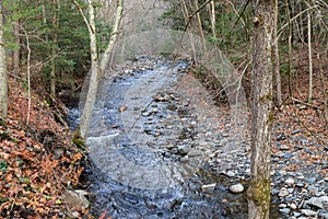 Swiftly flowing stream through a fall forest scene, rocky banks and reflection of blue sky in the water