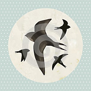 Swifts on old paper background photo