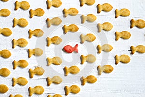 Swim against the current concept with small cookies with fish shape on white wooden background