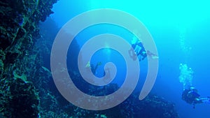 Swim along the side of a reef cliff with multiple divers ahead