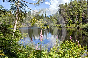 Swim Lake near Whistler, British Columbia, Canada