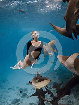 Swim with sharks. Woman swims with the Nurse shark (Ginglymostoma cirratum) in tropical ocean