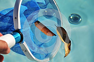 Swim spa cleaning net